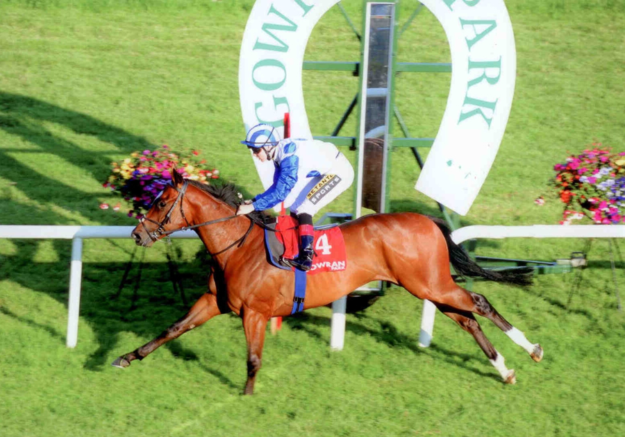 Artistic Integrity Gowran Park Tues 1st July